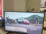 55 Samsung TV - US Model with stabilizer