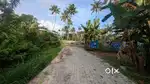 CHALAKUDY, CHOWKA 10 CENT  RESIDENTIAL HOUSE PLOT FOR SALE