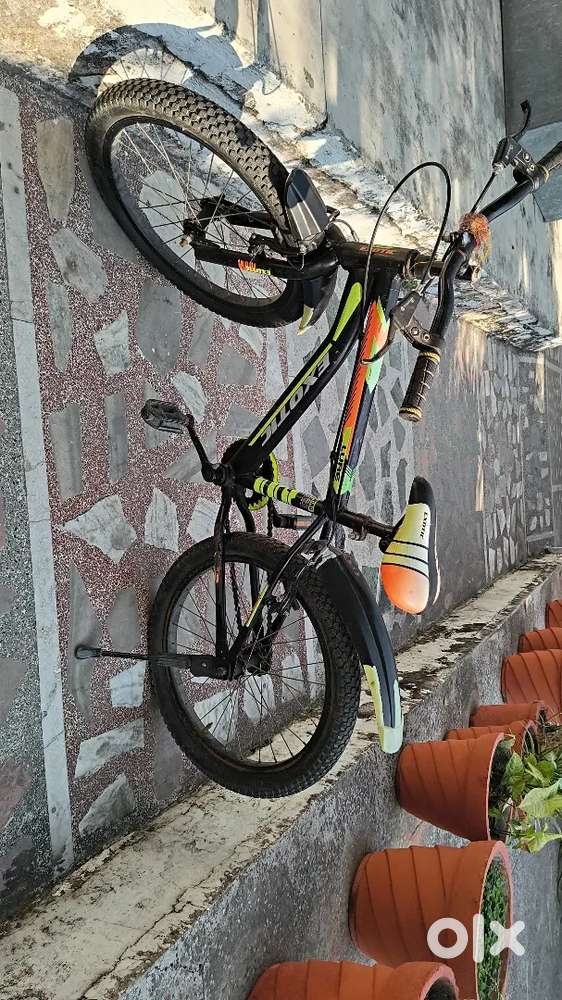 Exotic Cycle for 6-10 years old children