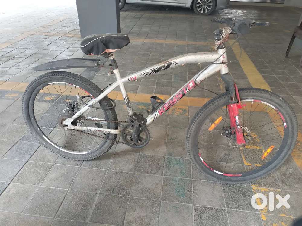 1 year old best condition