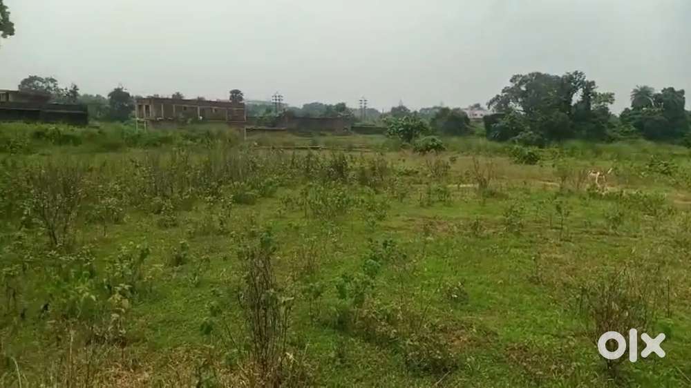 CNT Plot Available For Booking