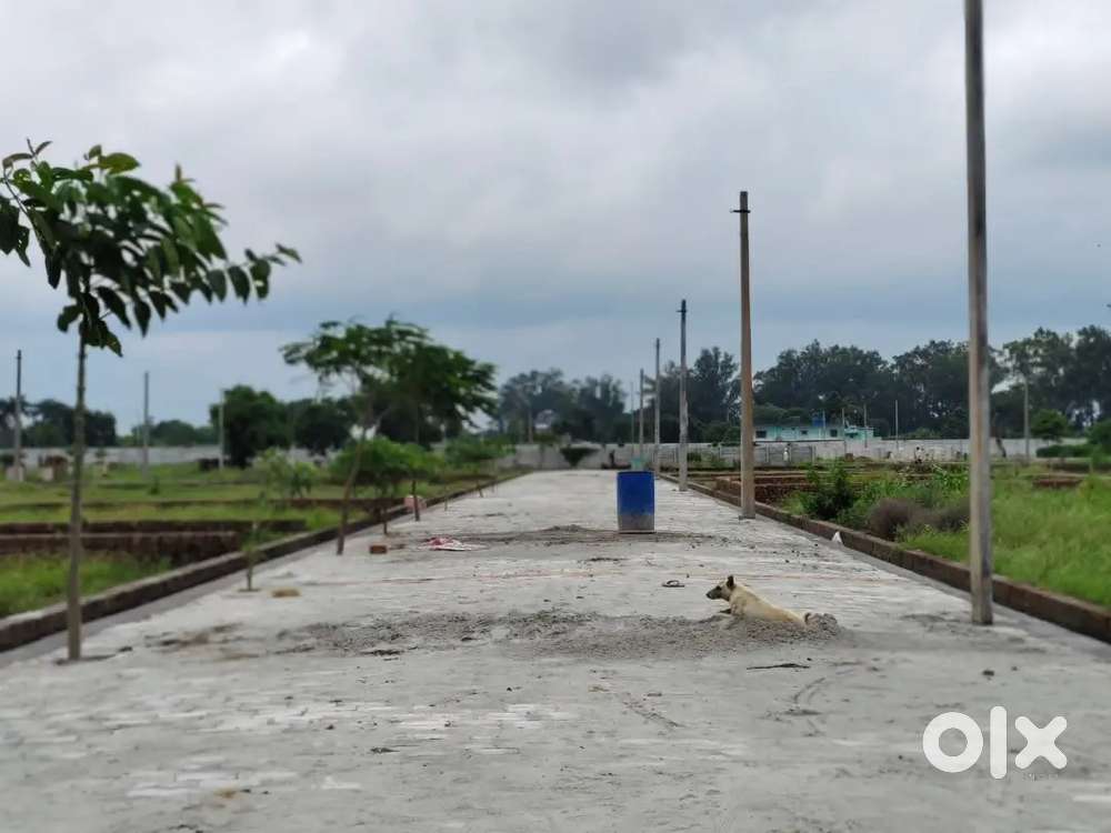 1000 SQFT प्लाट मात्र 19 लाख मे लुलू मोल के निकट रिंग रोड बैंक लोन भी