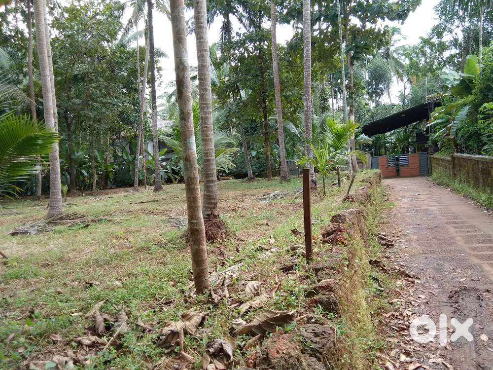 12.5 cent. Plot for sale - Balusserry (Panangad north)