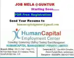 Office Assistant  ( Clerk ) గుమస్తా