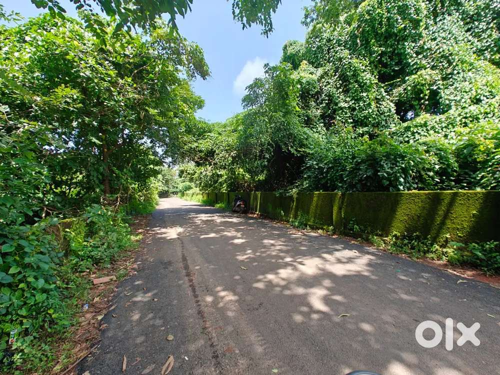 For rent 1,500 sqm land
