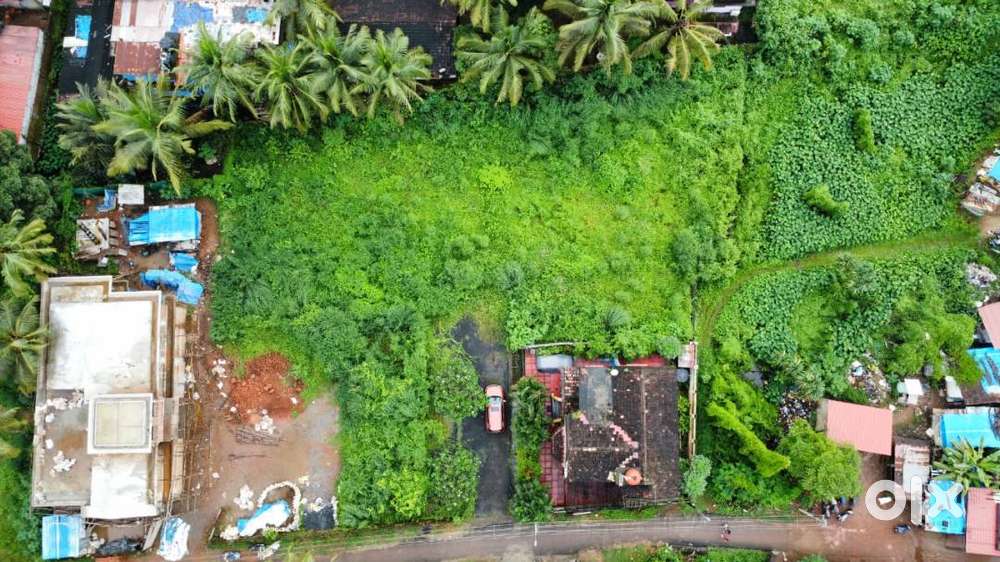Residential Land/Plot for Resale in  Benaulim