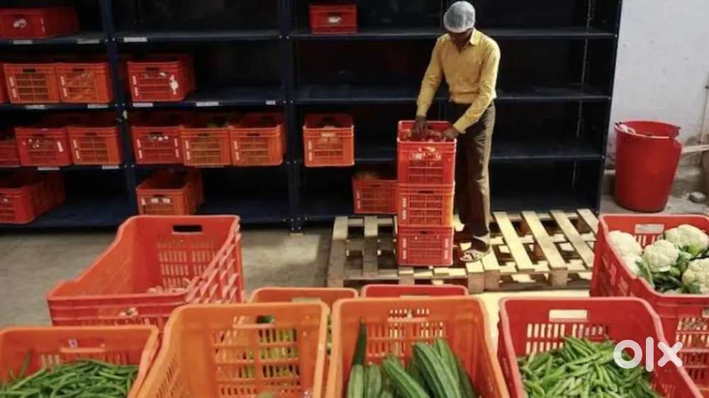 Wanted male/female packing staffs[ partime also] food/ stay