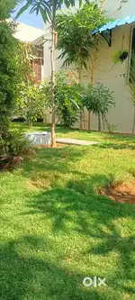 Home stay for rent