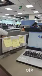 Work from home workers