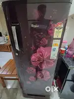 Whirlpool Fridge