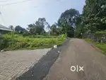PLOTS FOR SALE AT KAKKANAD INFOPARK THENGOD VIKASAVANI