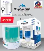 Aqua green colour dolphin model is **Best quality and Best product