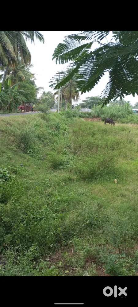On road plot, 2 kms from sankarapuram kallakurichi road.
