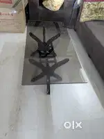 Elegant Wooden Base Glass-Top Center Table