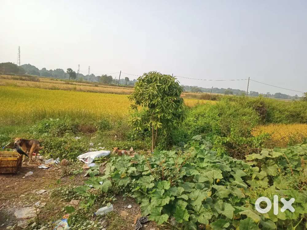 Gharabadi plot for sell near chandaka