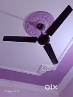 Selling Fan
