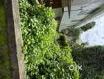 3 cent plot for sale in Kumarapuram prime location