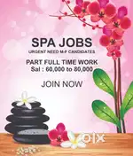 MALE FEM EARN 100,000 part full time job