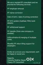 Pf consultant