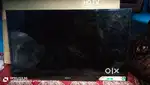 SONY LED TV 32