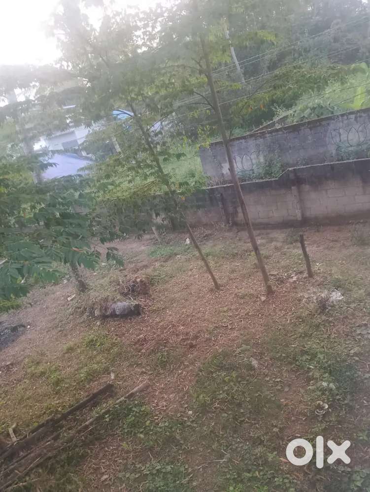 Sreekaryam chempazhanty near jn 4,10 cent plot