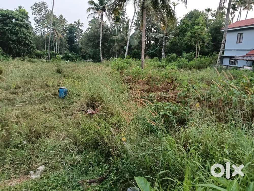 പുത്തൻചിറ മങ്കിഡിയിൽ മെയിൻ റോഡ്  ഫ്രന്റ്ജ് 16 സെന്റ് സ്ഥലം വില്പനക്ക്