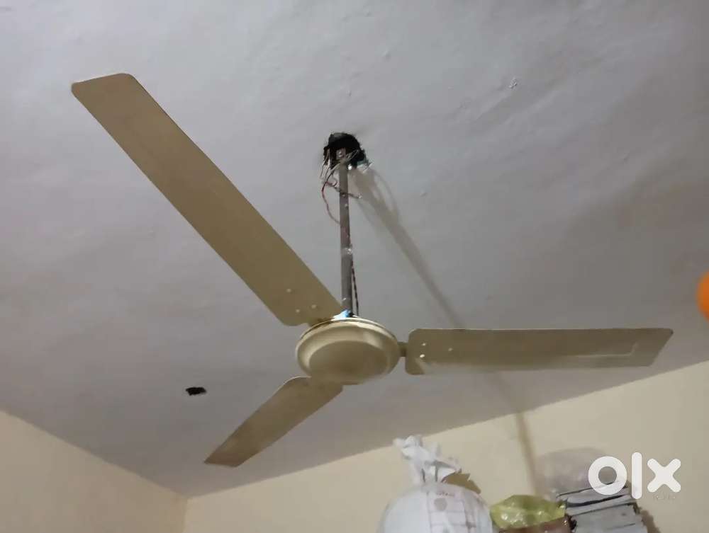 ciling fan