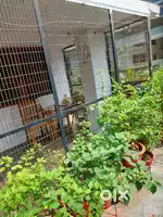 House for rent near Badhshah nagar metro station last price is (11500)