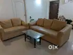 Comfort Sofa with center table