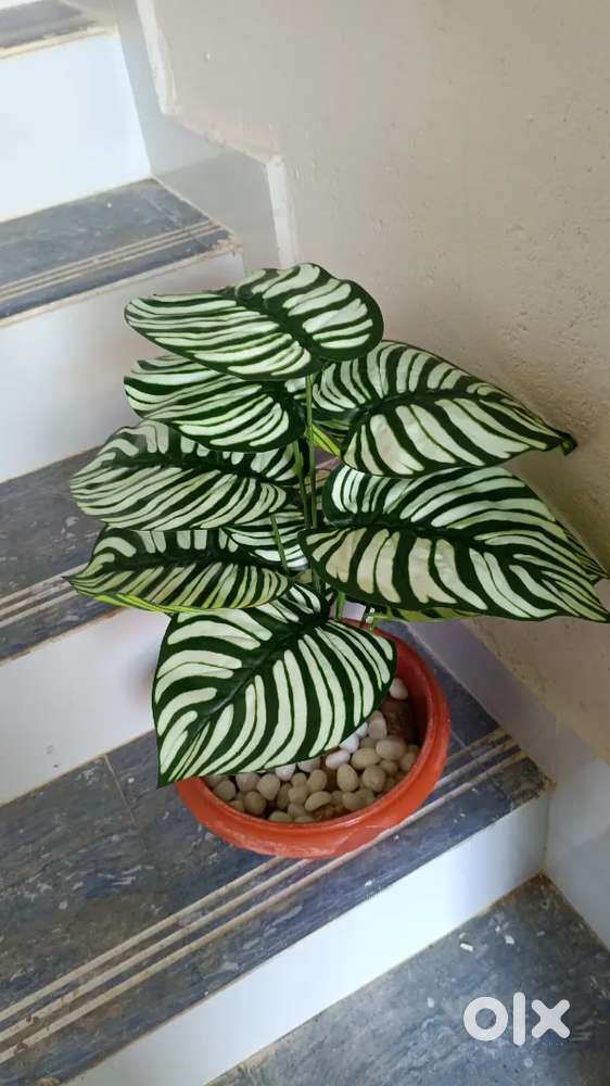 Artificial plants