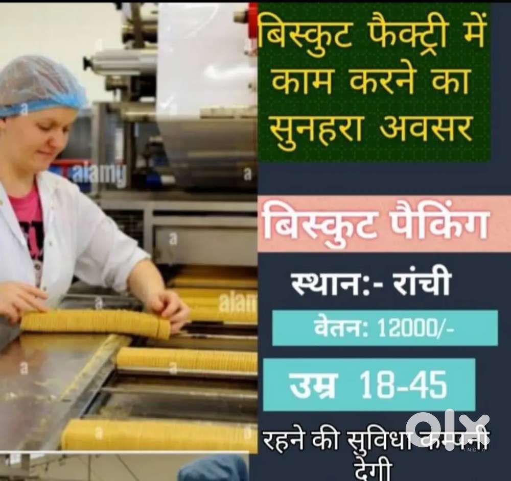 Biscuit factory packing job