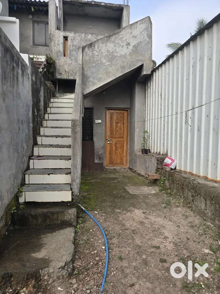 Spacious and well-maintained house available for rent