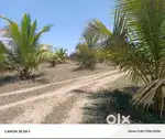 BEAUTIFUL FARM LAND FOR SALE
