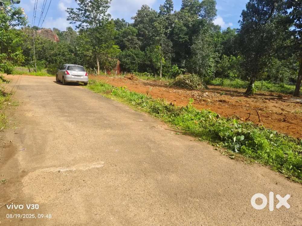 LAND FOR SALE മണർകാട് അണ്ണാടിവയൽ Land for sale manarcad