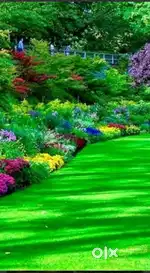Part-time gardner