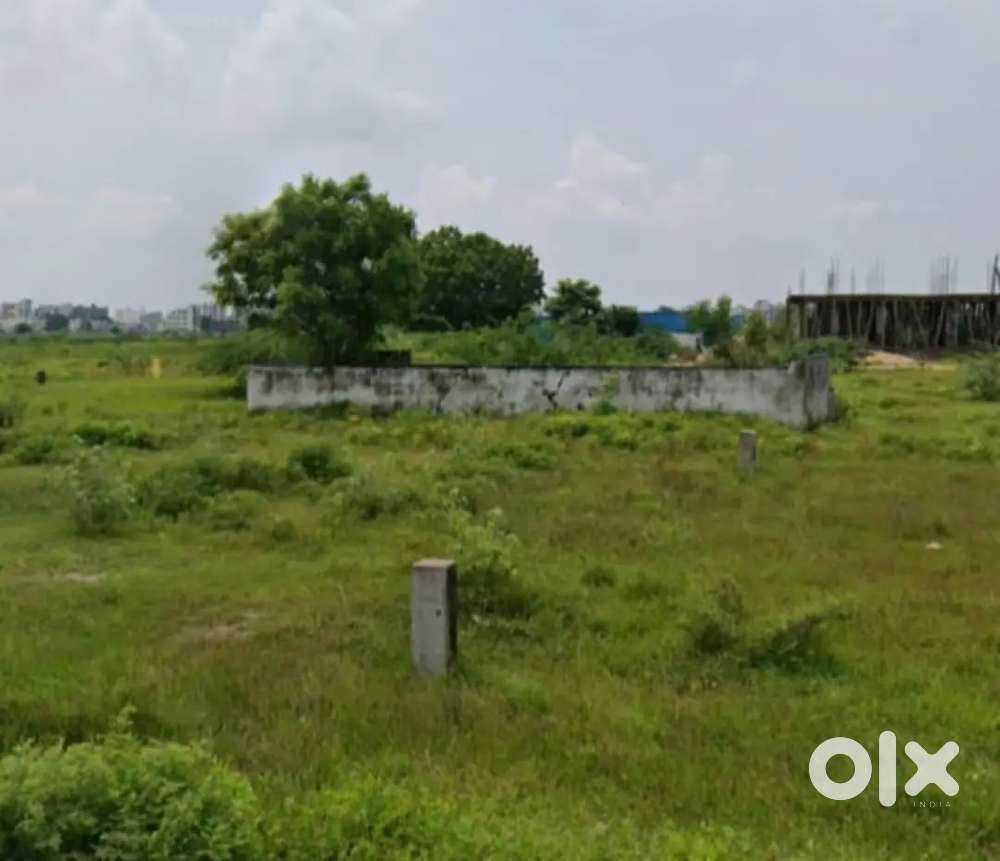 Independent 65 gajalu