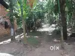 10 CENT LAND FOR URGENT SALE