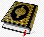 tution for Arabic