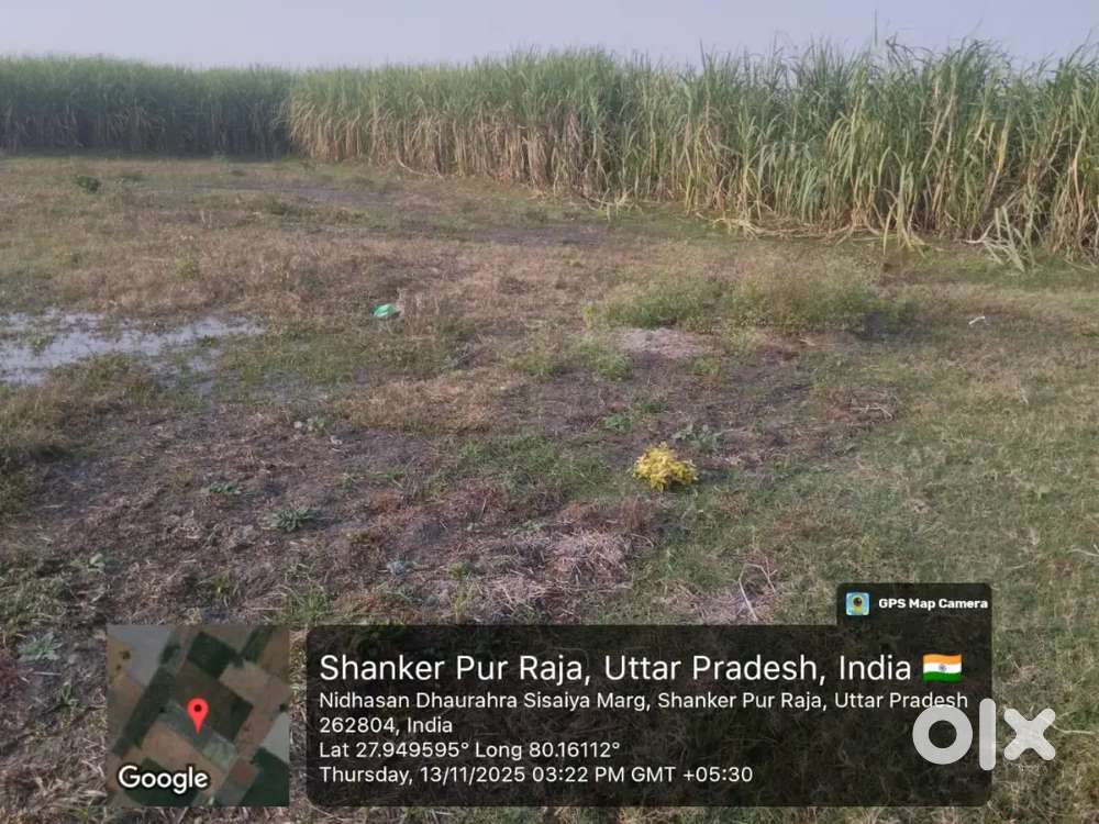 क़ृषि योग्य खेत ग्राम शंकरपुर राजा मोहम्मदी