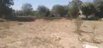 Agriculture land