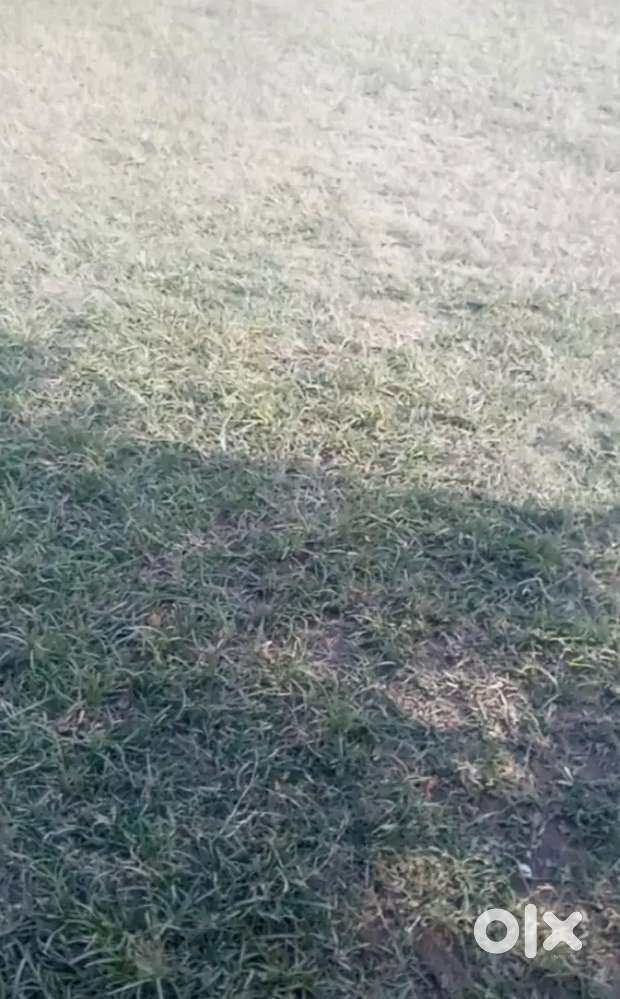 Land for sale at sidhra by pass jammu