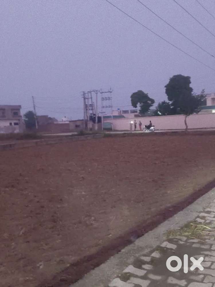 8 marle  plot  bejna hai asian school near front plot school te