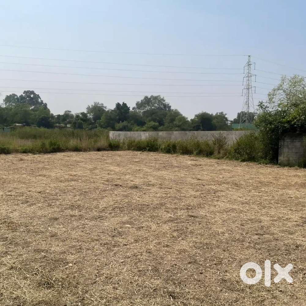 4.2 Dismil Plot for sale in Jogipali Kainsir