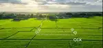 ROAD TOUCH PLOTS