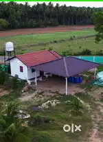 One acre / farm house/farm land /coconut grove/agri land for sale