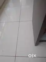 Mavdi area ma shop bhade apvani che