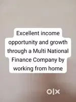 Career in multi national finance co. for retired people and housewives