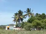 DTCP APPROVED PLOTS FOR SALE @ KANDIGAI