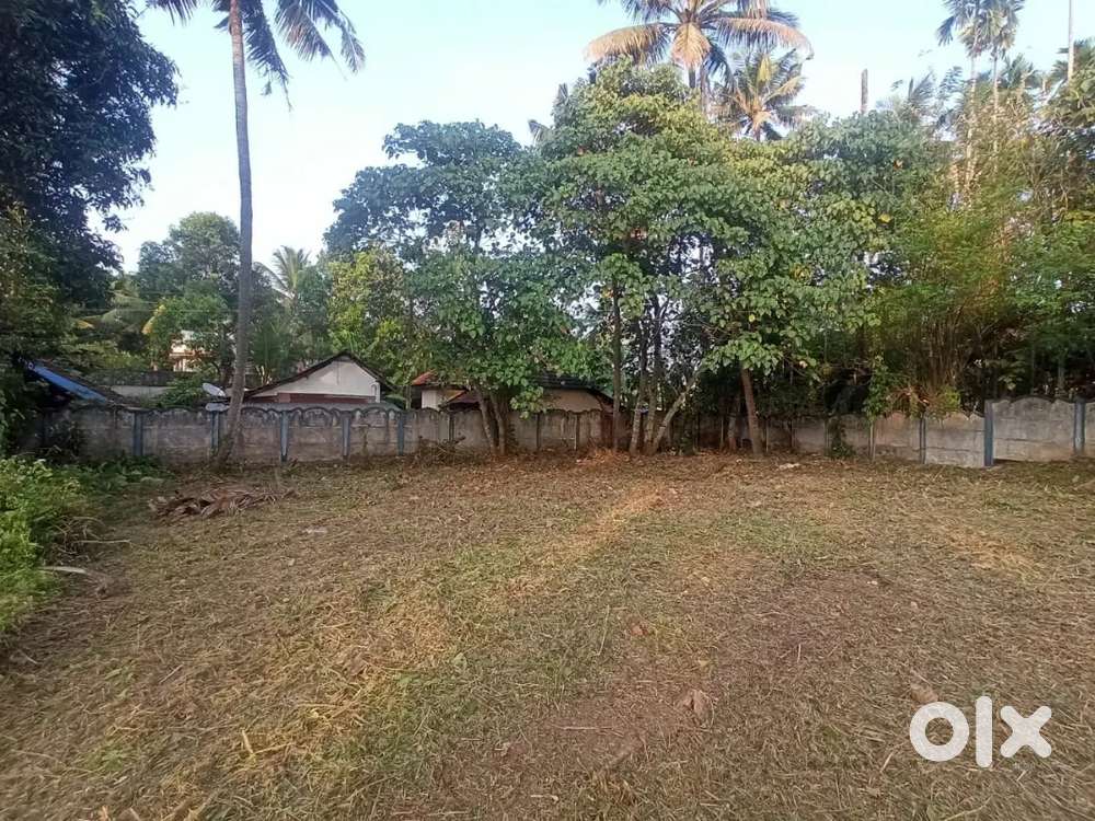 Plot for sale