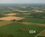 8 dismil general plot